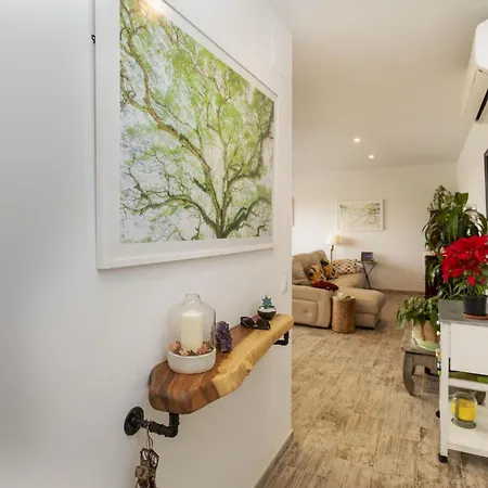Nyaraló Holiday Solea By Interhome Tordera